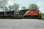 CN 8020